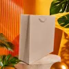 أكياس هدايا ورقية من أكياس هدايا عيد الميلاد details Picture